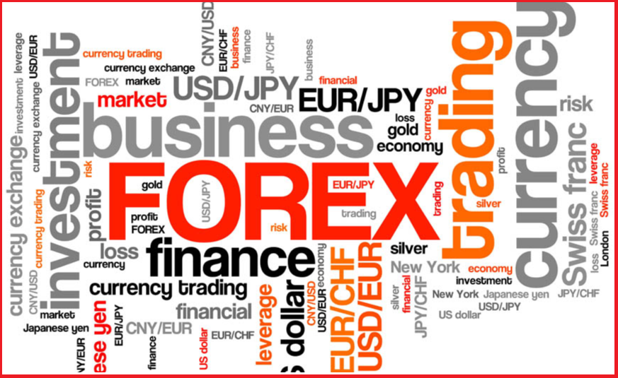 Forex forest
