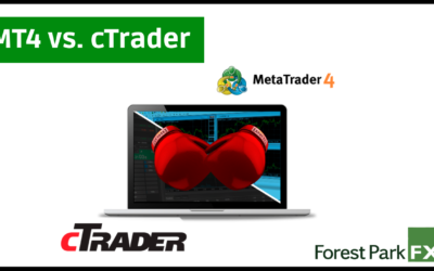 Network marketing vs forex trading Network marketing vs forex trading