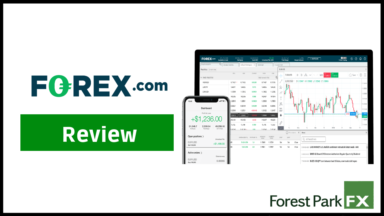 Forex forest